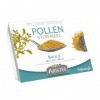 Pollen saule