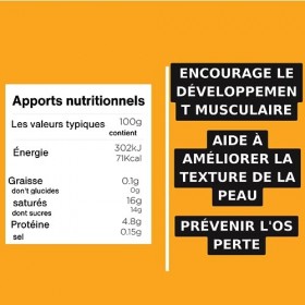 Fighter Shots Gingembre + Collagène Marin 12x60 ml | Peau et Cheveux en Meilleure Santé | 100% Naturel | Idéal pour Dynamis