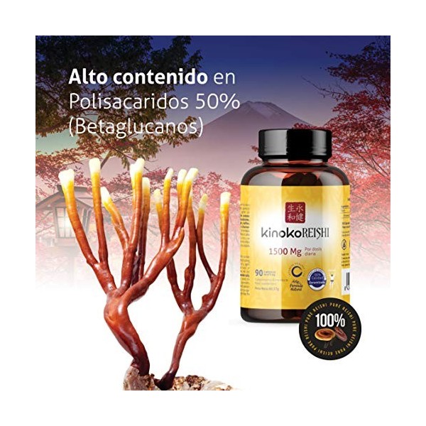 REISHI Pure 1500mg Extrait 90 Gélules 50% De Polysaccharides Bêta-Glucanes Bioactifs Β- 1,3 Β- 1,6 | Ganoderma Lucidum | 