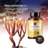 REISHI Pure 1500mg Extrait 90 Gélules 50% De Polysaccharides Bêta-Glucanes Bioactifs Β- 1,3 Β- 1,6 | Ganoderma Lucidum | 