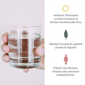 🌱 Concentré de plantes CONFORT URINARE 100ml | Naturellement Uriner | Certifié BIO | Plantes médicinales haute qualité Herbor