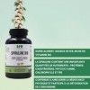 SFB Laboratoires - Spiruline Bio - Super Aliment - Renforce le Système Immunitaire - 500 comprimés