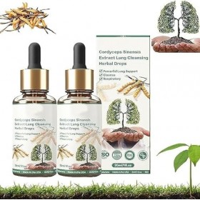 Extrait de Cordyceps Sinensis - Gouttes de compensation pulmonaire, gouttes de TinaHerbs, chardon-Marie et gouttes de Cordyce