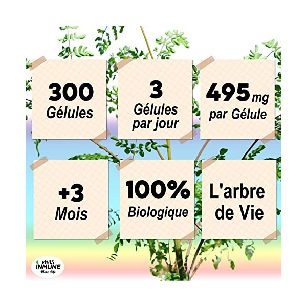 Moringa Oleifera Bio - 300 gélules - Haute dose 1485 mg - Superfood - Energie, protéines végétaliennes, vitamines, minéraux, 
