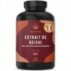 Reishi - 270 gélules de 650mg par gélule - 9750mg par jour Extrait 5:1 - 40% polysaccharides bioactifs - Ganoderma Lucidum 