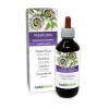 Passiflore Passiflora incarnata herbe avec fleurs Teinture Mère sans alcool Naturalma | Extrait liquide gouttes 200 ml | Co
