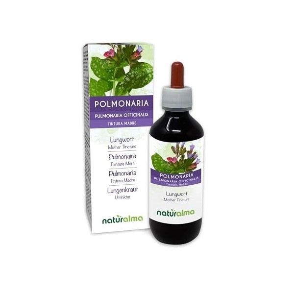 Pulmonaire officinale Pulmonaria officinalis herbe avec fleurs Teinture Mère sans alcool Naturalma | Extrait liquide goutte