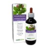 Pulmonaire officinale Pulmonaria officinalis herbe avec fleurs Teinture Mère sans alcool Naturalma | Extrait liquide goutte