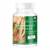 Panax Ginseng + Vitamine B5-600mg dextrait de Panax Ginseng rouge par comprimé - vegan - 180 Comprimés - fortement dosé | Vi