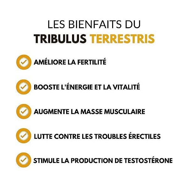Tribulus Terrestris - 120 gélules | Hautement dosé en saponines 60% | Croissance Musculaire | Musculation | Fabriqué en Fra