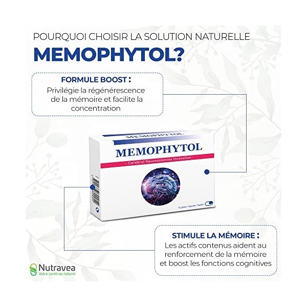 Memophytol - Complément Alimentaire Mémoire et Concentration - Cerveau, Focus, Attention - Raisin, Bleuet, Ginkgo Biloba, Bac