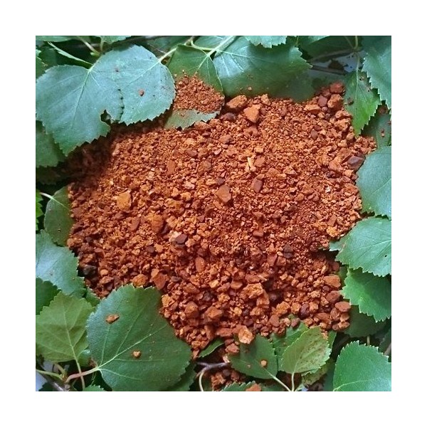 Chaga séché dEstonie 450g. haché à 0,1-1 cm.