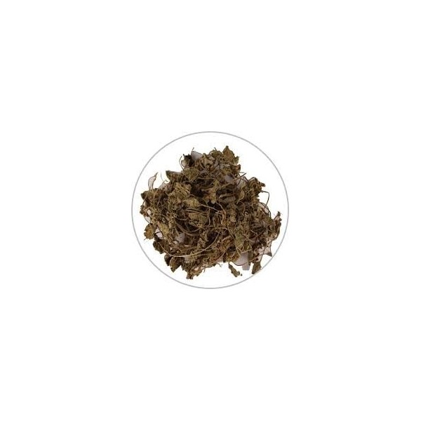 Neel Ayurvedics Brahmi | Dry Brahmi Leaves | Bacopa monnieri - 250 GM