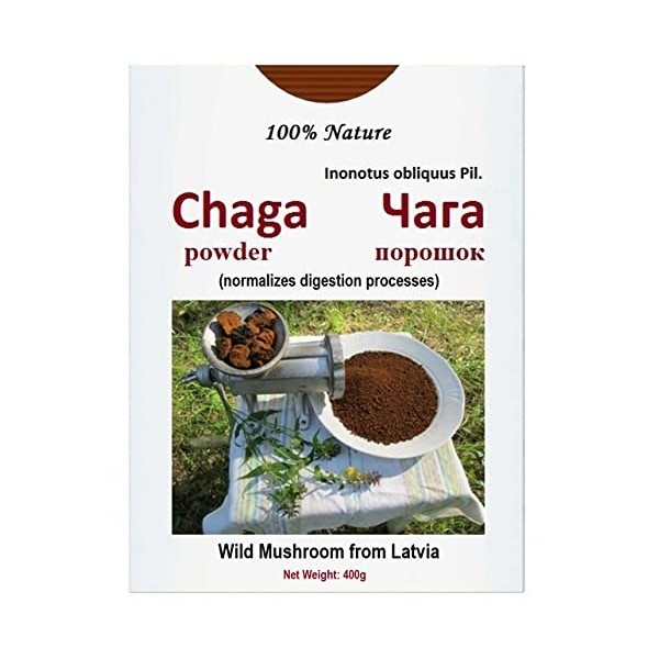 400g Wild CHAGA Poudre / manual milling