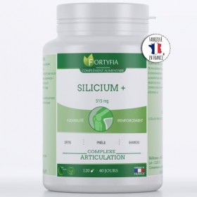 SILICIUM + | COMPLEXE ARTICULATIONS | FLEXIBILITÉ | RENFORCEMENT | Ortie piquante, Prêle, Bambou | 120 Gélules | FORTYFIA | F