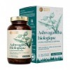 Nature Basics® Ashwagandha bio durable en pot | 180 gélules hautement dosées & pures | 600mg par gélule & 1.800mg par dose jo