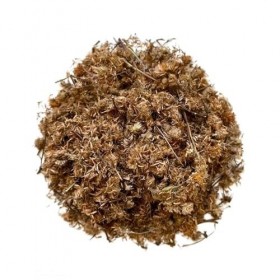 Tisane Arnica fleur ENT 100 GRS Arnica montana