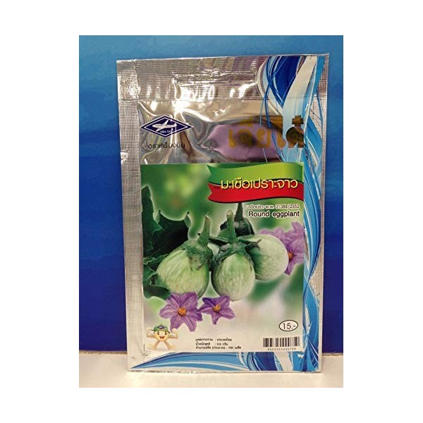 PLAT FIRM GRAINES DE GERMINATION: 2 Taschen Chia Tai Thai Grün Runde Auberginen Samen Gemüsepflanze 1 g 200 Samen