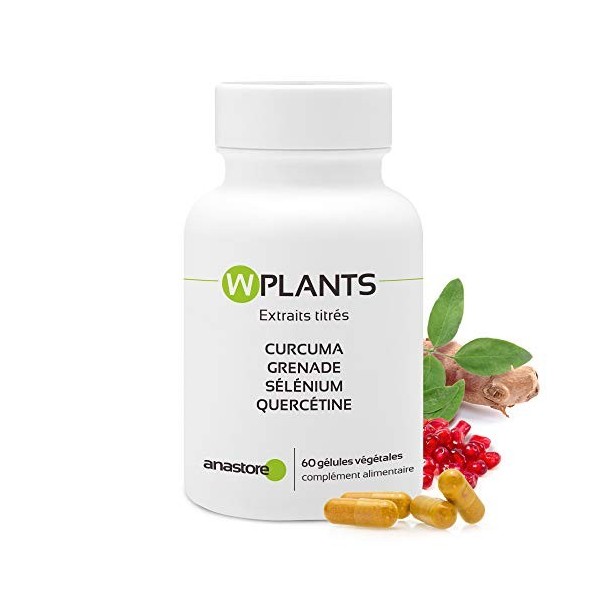 WPLANTS * 317.5 mg / 60 gélules * Articulations inflammation , Cardiovasculaire, Cerveau, Digestion troubles gastro-intesti