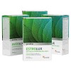 Estrolux gélules Détox Œstrogénique - Iode, Chlorella, Mélisse, Vitamine B6, Algues brunes - Produit naturel qui équilibre le