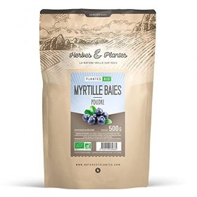 Myrtille Baie Bio 500 gr de poudre