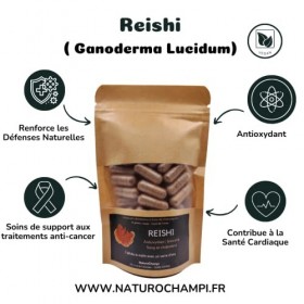 Reishi | Extrait sec - Ganoderma Lucidum | 56 gélules végétales - Cure de 4 semaines | Complément alimentaire à base de champ