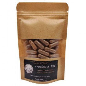 NaturoChampi | Hericium Erinaceus - Extrait sec | 56 gélules végétales végan Crinière de Lion | Champignon cultivé en France