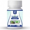 Xovak Pharma | Organic Mint Capsules - 60 Capsules Each x Pack of 4