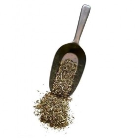 Tisane Calament plante 1 KILO Calamintha officinalis