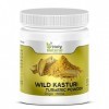 QURA Wild Kasturi Poudre de curcuma – 100 g pour le visage et la peau, Curcuma Aromatica/Jangli Haldi/Kasthuri Manjal