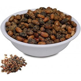 AOZA Graines de Jamalgota naturelles Croton Tiglium 100 g | Certifié ISO | Certifié FSSAI