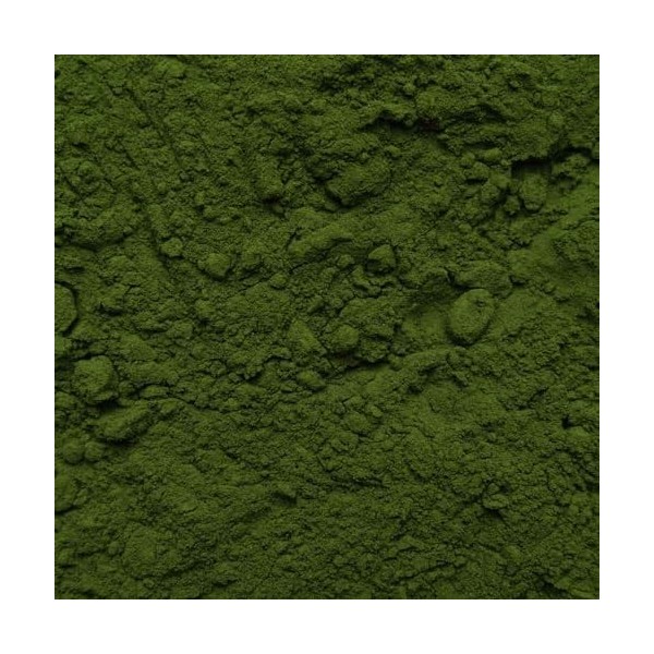 Chlorella poudre bio 1000g 2x500g | Chlorella Vulgaris | Algues | Mis en bouteille et contrôlé en Allemagne | Biotiva