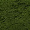 Chlorella poudre bio 1000g 2x500g | Chlorella Vulgaris | Algues | Mis en bouteille et contrôlé en Allemagne | Biotiva