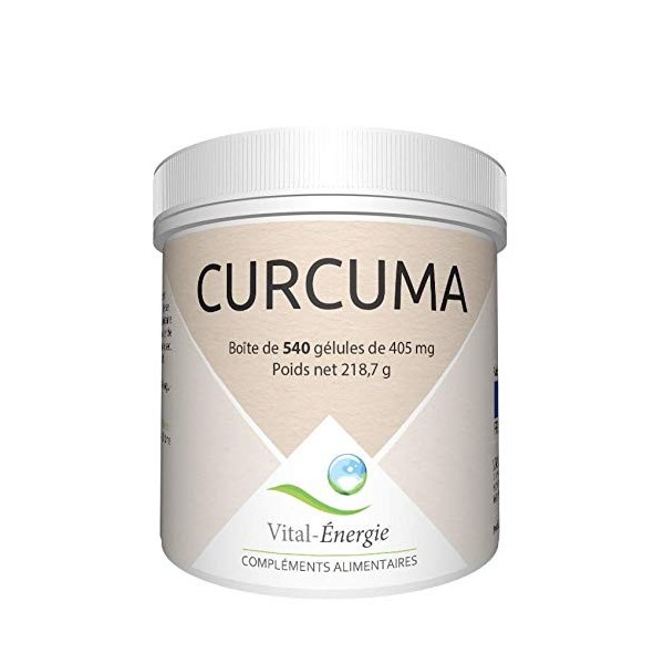 Vital-Energie Curcuma 540 gélules
