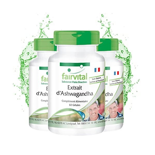 Fairvital | Ashwagandha 500mg - VEGAN - 180 gélules 60 x 3 - Ginseng Indien - extrait d Ashwagandha extra fort standardisé