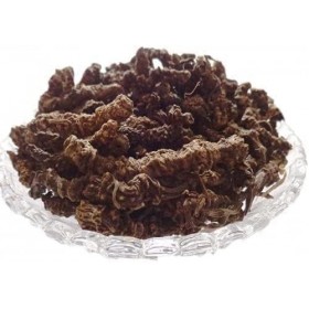 GMERSTagar Ganth - Mushkbala - Sugandhabala - Racine de valériane - Valeriana Wallichi 250 GMS 