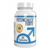 Potencialex Forte - 60 gélules - 2023 B