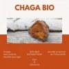 Siho - Extrait de Chaga Bio - Complément Alimentaire Santé et Système Immunitaire - Chaga Finlandais 100% Bio, Hautement Biod