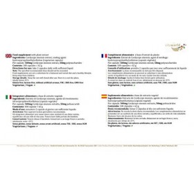 Pack de 3 Vita World Cordyceps Extrait 500mg 3 x 100 Capsules végétalien CS-4 avec Certificat danalyse