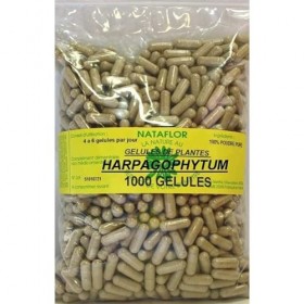GELULES HARPAGOPHYTUM 300 mg 1000 GELULES