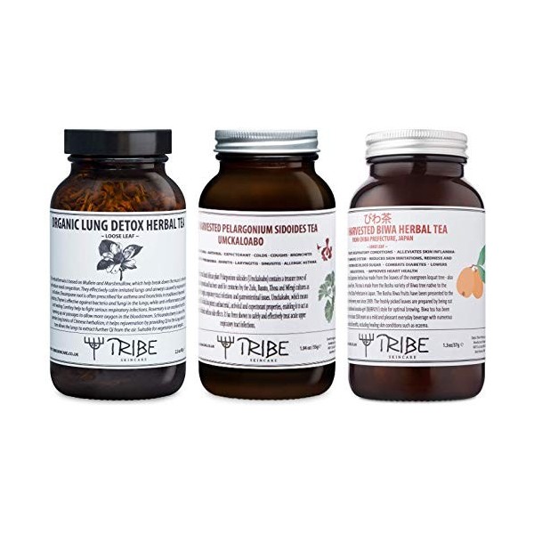 Tribe Skincare Kit de traitement respiratoire à base de plantes Détox pulmonaire biologique - Omckaloabo sauvage - Biwa réco