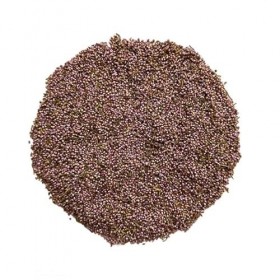 Tisane Bruyère fleur mondée 1 KILO ENTIERE Calluna vulgaris.