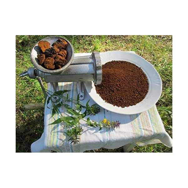 Wild Chaga Powder Dried 1500g from Latvia - Manual Milling