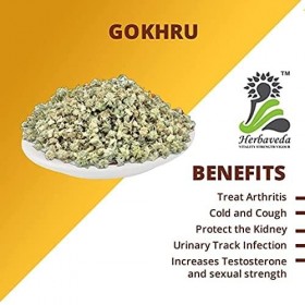 SMED Herbaveda – Gokhru Chota 500 g Gokhroo Chota | Gokshura | Graines de Tribulus Terrestris | Petits Caltrops | Sabut