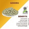 SMED Herbaveda – Gokhru Chota 500 g Gokhroo Chota | Gokshura | Graines de Tribulus Terrestris | Petits Caltrops | Sabut