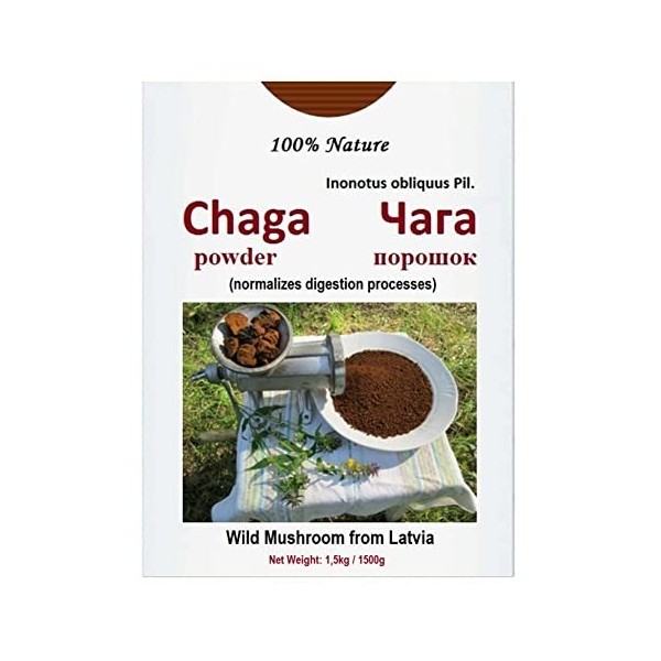 1500g Wild CHAGA Poudre / manual milling