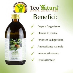 Teo Natura Synergie 2 – Complément à boire – Recette du Père Zago sans alcool avec Aloe Arborescens et Miel Biologique – 1,