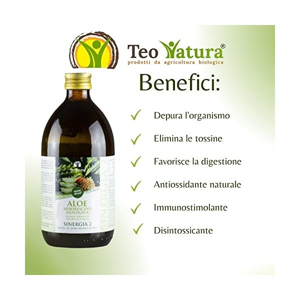 Teo Natura Synergie 2 – Complément à boire – Recette du Père Zago sans alcool avec Aloe Arborescens et Miel Biologique – 1,