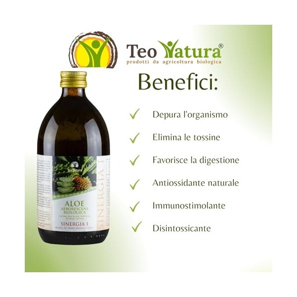 Teo Natura Synergie 1 - Complément à boire - Recette Classique du Père Zago avec Aloe Arborescens, Miel et Alcool Biologique 