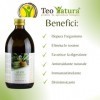 Teo Natura Synergie 1 - Complément à boire - Recette Classique du Père Zago avec Aloe Arborescens, Miel et Alcool Biologique 